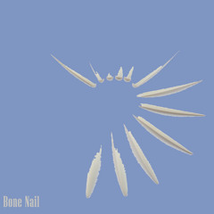 Bone Nail