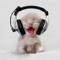 DJ Kswizz