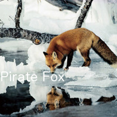 Pirate Fox