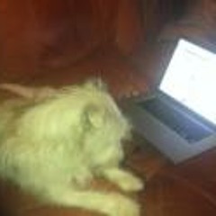 Gina Fazzolari Brooks