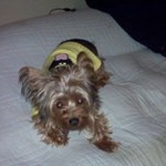 Denise Marie Mitchell