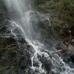 WasrOng Cfalls