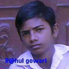 RAHUL GOWARI