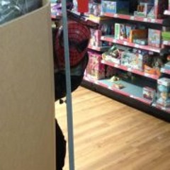 Laura Dusty McCulloch