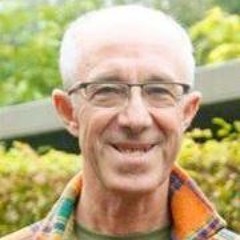 Raymond Van Groenewoud