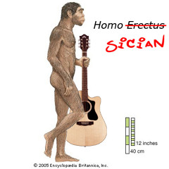 HomoSician