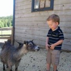 Trevor James O'Rourke