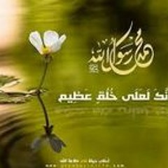 Ahmad Mohammad Shaheen