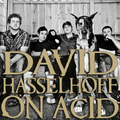 DAVID HASSELHOFF ON ACID