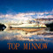 Top Minnow
