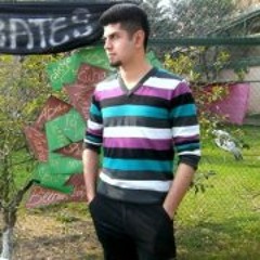 Anees Khan 2