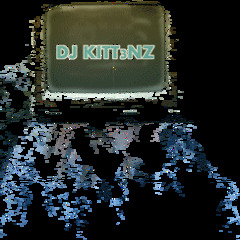 DJ Kittens
