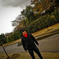 Seif Ali (HEAVY IMPACT)