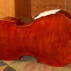Fretless Jim Fla
