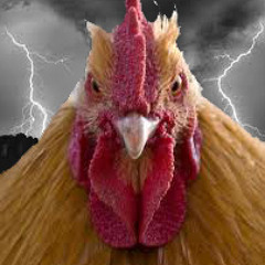 ThunderCock