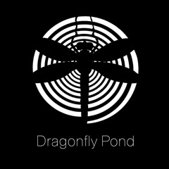 dragonfly pond