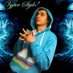 the vyper style