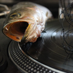 DJCoryLove