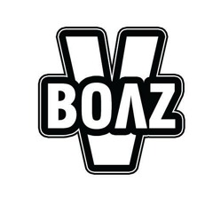 BoazV