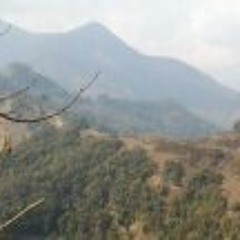 Krishna Rana 4