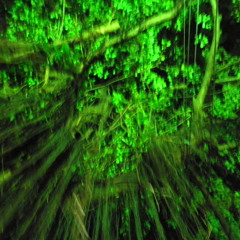 ELEPHANT SHAMPOO(AMBIENT)