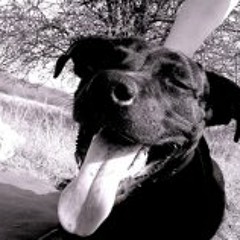 Vilma Madlenn Lemurs