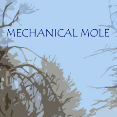Mechanical Mole