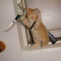 Nathan James Stewart