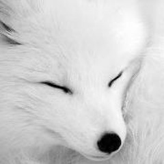 Alejandro Escamilla 2