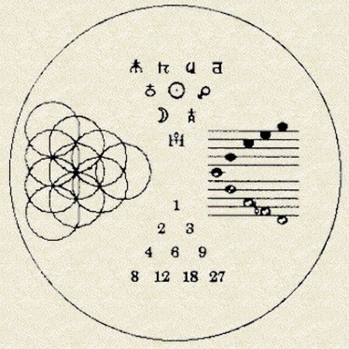 Psychederic - Birds Of Paradise (Mastered)