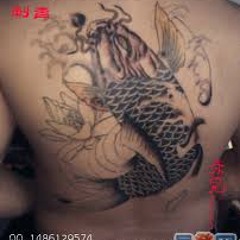 Zhao3608@hotmail.com