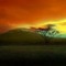 Tooby Art