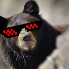 mr mogull