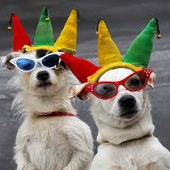 Supreme Court Jester