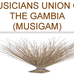 musicunionofthegambia