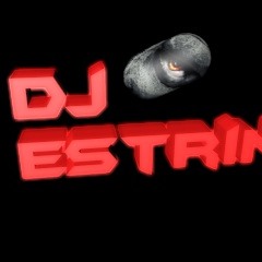 dj estrin