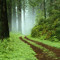 speedup-1