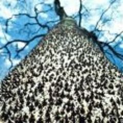 Mayumi Itsuwa- Amayadori full cover