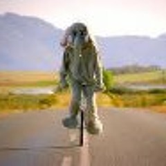 Dina Khaled Mohammed