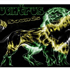 Quantrus Sounds