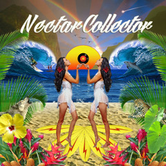 Nectar Collector