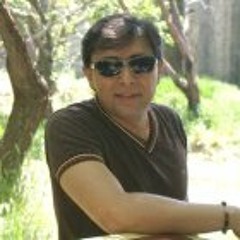 Farzin Farzbood