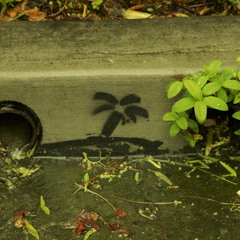Tahashi Kano