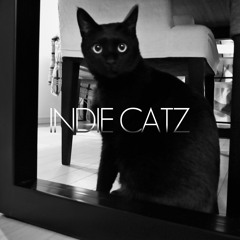 INDIE CATZ