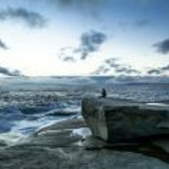 Sam Littlefair Wallace