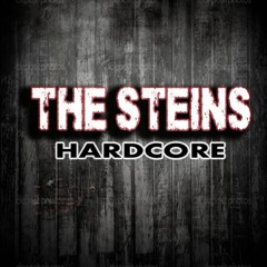 The Steins - MR. CLEAN (Cover Millencolin)
