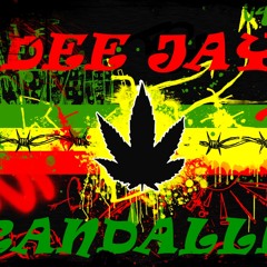 Deejay-Ran