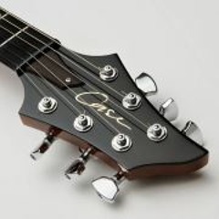Case Guitars