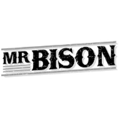 MrBison