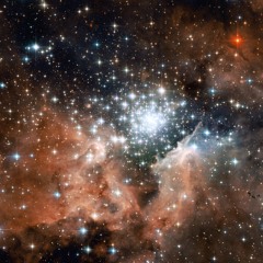 New Sons of The Cosmos